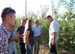 Про особливості формування крони розповідає Євген Найченко